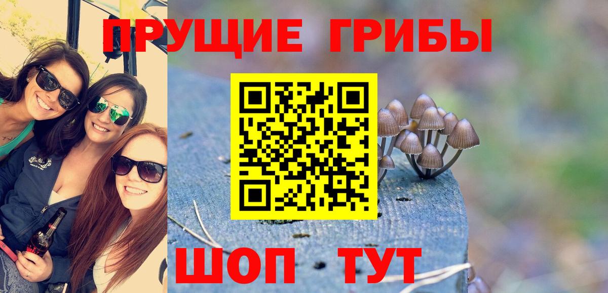 Псилоцибиновые грибы Magic Shrooms Видное
