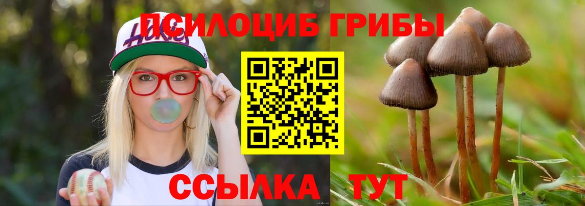 Видное  Псилоцибиновые грибы Magic Shrooms  Вход с VPN 
